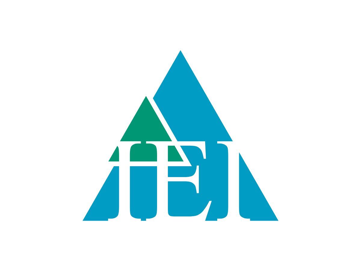 IEI Logo
